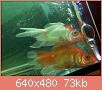         

:  052809230605_4.jpg
:  296
:  73,4 KB