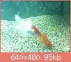         

:  052809231448_0.jpg
:  323
:  95,1 KB