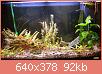         

:  IMG_01.jpg
:  738
:  92,1 KB
