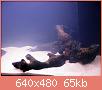         

:  IMG_05.jpg
:  661
:  64,9 KB