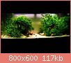         

:  bost1.jpg
:  352
:  116,5 KB