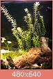         

:  IMG_0384small.jpg
:  593
:  147,8 KB