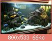         

:  malawi_all1.jpg
:  2920
:  66,1 KB