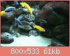         

:  IMG_0266.jpg
:  1005
:  61,4 KB