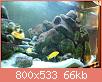         

:  IMG_0273.jpg
:  975
:  65,7 KB