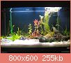         

:  IMG_0425small.jpg
:  563
:  254,9 KB
