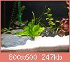         

:  IMG_0437small.jpg
:  457
:  247,2 KB
