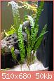         

:  IMG_0430small.jpg
:  478
:  50,3 KB