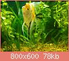         

:  0177.jpg
:  237
:  78,4 KB