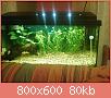         

:  0180.jpg
:  289
:  80,0 KB