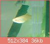        

:  DSC00819.JPG
:  484
:  36,4 KB
