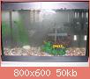         

:  IMG_1173.jpg
:  553
:  50,4 KB