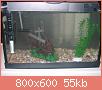         

:  IMG_1174.jpg
:  511
:  54,8 KB