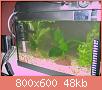         

:  IMG_1177.jpg
:  302
:  48,0 KB