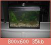         

:  IMG_1181.jpg
:  259
:  35,2 KB