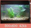         

:  IMG_1183.jpg
:  204
:  42,0 KB