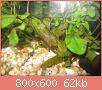         

:  IMG_1195.jpg
:  274
:  61,9 KB