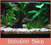         

:  IMG_1198.jpg
:  273
:  55,6 KB