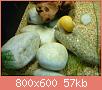         

:  DSC00934.jpg
:  336
:  56,9 KB