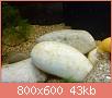         

:  DSC00935.jpg
:  369
:  42,7 KB
