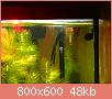         

:  DSC00383.jpg
:  613
:  48,1 KB