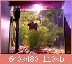         

:  29 NOV 2009 014.jpg
:  775
:  110,2 KB