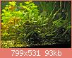         

:  _5IGP3058.jpg
:  518
:  93,3 KB