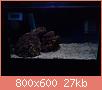         

:  DSC00329.jpg
:  763
:  26,6 KB