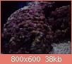         

:  DSC00330.jpg
:  573
:  38,1 KB