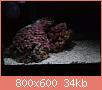         

:  DSC00333.jpg
:  493
:  34,1 KB