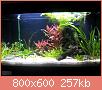         

:  my_tank.jpg
:  485
:  257,0 KB