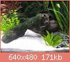         

:  my_tank_5.jpg
:  440
:  170,9 KB