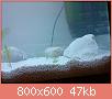         

:  DSC01212.jpg
:  271
:  46,7 KB