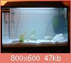         

:  DSC01210.jpg
:  323
:  46,8 KB