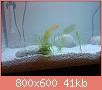         

:  DSC01211.jpg
:  253
:  41,0 KB