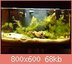         

:  DSC00025.jpg
:  257
:  67,9 KB
