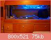        

:  TH015378.jpg
:  309
:  74,7 KB