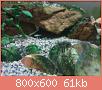         

:  DSC02802.jpg
:  299
:  60,8 KB