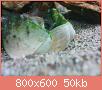         

:  DSC02794.jpg
:  315
:  49,5 KB