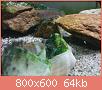         

:  DSC02796.jpg
:  302
:  64,5 KB