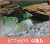         

:  DSC02797.jpg
:  282
:  48,0 KB