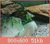         

:  DSC02799.jpg
:  275
:  51,0 KB