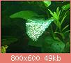         

:  0008.jpg
:  464
:  49,4 KB