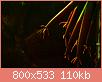        

:  _MG_6312.JPG
:  626
:  109,9 KB