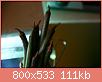         

:  _MG_6310.JPG
:  572
:  110,9 KB