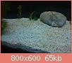         

:  DSC01301.jpg
:  326
:  64,9 KB