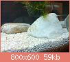        

:  DSC01302.jpg
:  318
:  59,1 KB