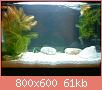         

:  DSC01303.jpg
:  296
:  60,9 KB