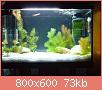         

:  DSC00044.jpg
:  439
:  73,0 KB