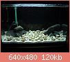         

:  DSC00001.JPG
:  367
:  120,0 KB